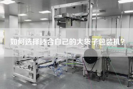 如何选择适合自己的大袋子包装机？