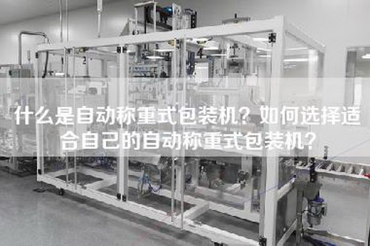 什么是自动称重式包装机？如何选择适合自己的自动称重式包装机？