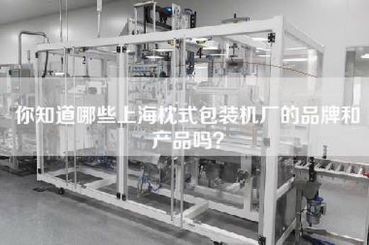 你知道哪些上海枕式包装机厂的品牌和产品吗？