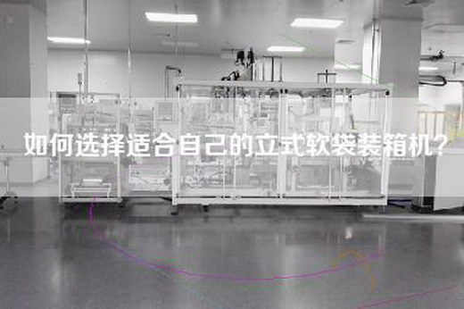 如何选择适合自己的立式软袋装箱机？
