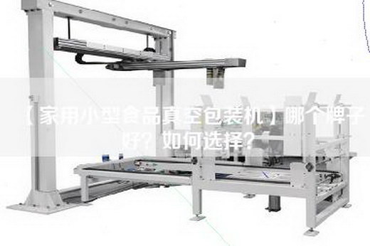 【家用小型食品真空包装机】哪个牌子好？如何选择？