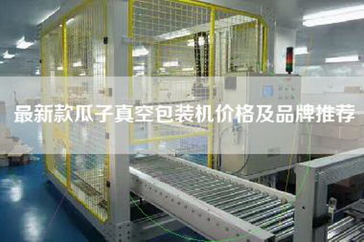 最新款瓜子真空包装机价格及品牌推荐