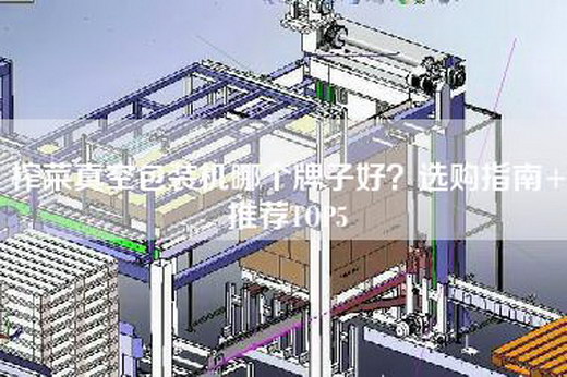 榨菜真空包装机哪个牌子好？选购指南+推荐TOP5