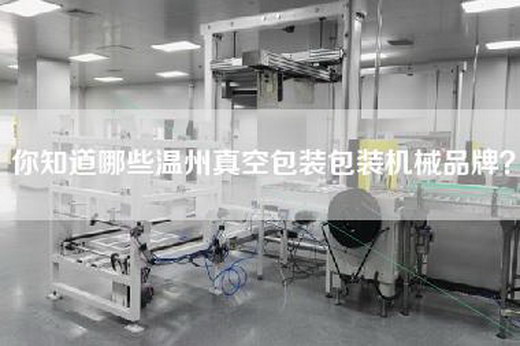 你知道哪些温州真空包装包装机械品牌？