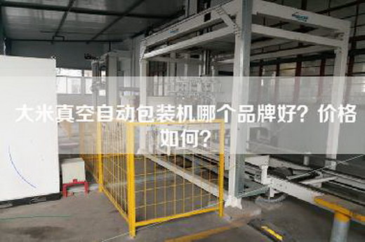 大米真空自动包装机哪个品牌好？价格如何？