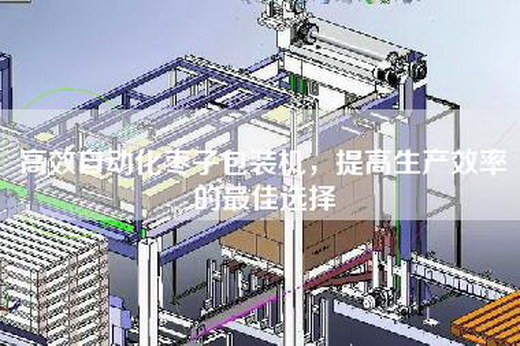 高效自动化枣子包装机，提高生产效率的最佳选择