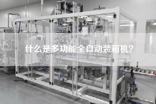 什么是多功能全自动装箱机？