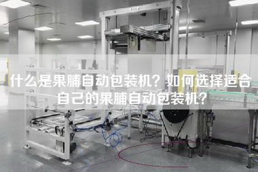 什么是果脯自动包装机？如何选择适合自己的果脯自动包装机？