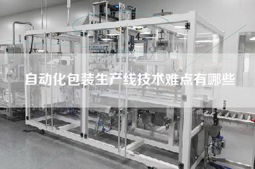 自动化包装生产线技术难点有哪些