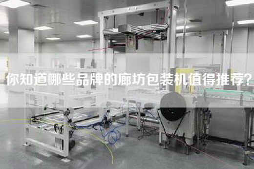 你知道哪些品牌的廊坊包装机值得推荐？