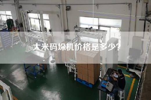 大米码垛机价格是多少？