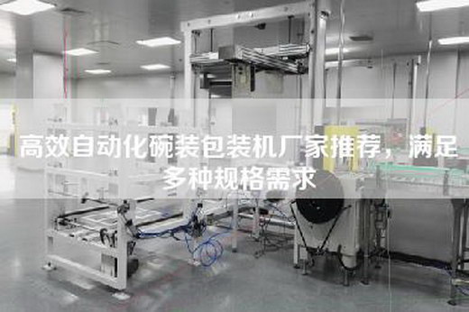 高效自动化碗装包装机厂家推荐，满足多种规格需求