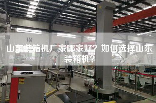 山东装箱机厂家哪家好？如何选择山东装箱机？