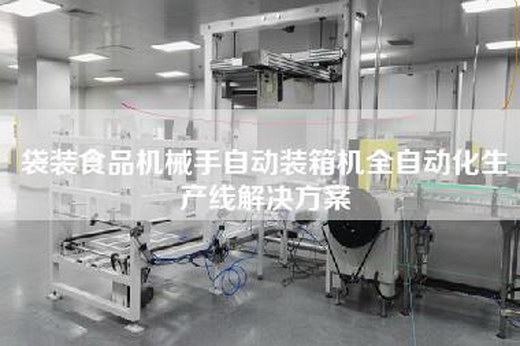 袋装食品机械手自动装箱机全自动化生产线解决方案
