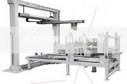你了解软袋装箱机视频吗？