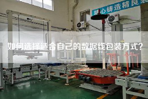 如何选择适合自己的数据线包装方式？