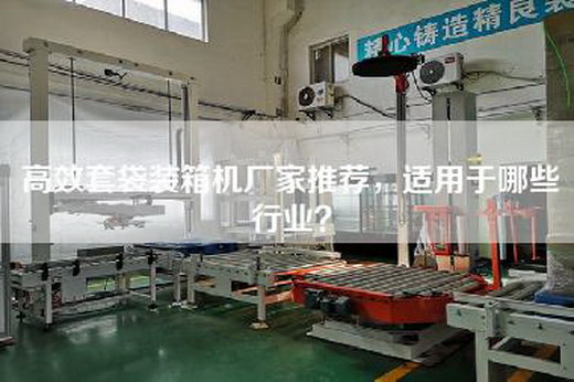 高效套袋装箱机厂家推荐，适用于哪些行业？