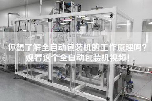 你想了解全自动包装机的工作原理吗？观看这个全自动包装机视频！