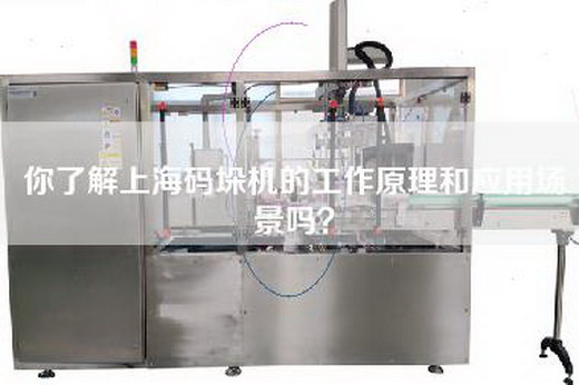 你了解上海码垛机的工作原理和应用场景吗？