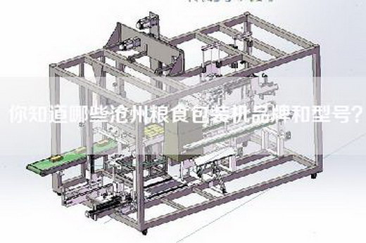 你知道哪些沧州粮食包装机品牌和型号？