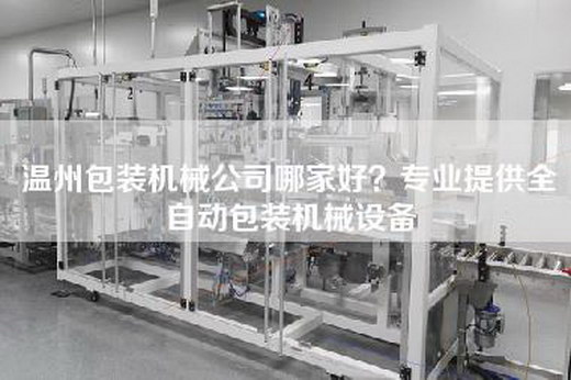 温州包装机械公司哪家好？专业提供全自动包装机械设备