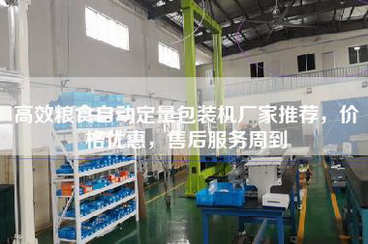 高效粮食自动定量包装机厂家推荐，价格优惠，售后服务周到