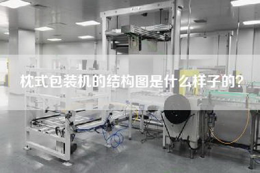 枕式包装机的结构图是什么样子的？