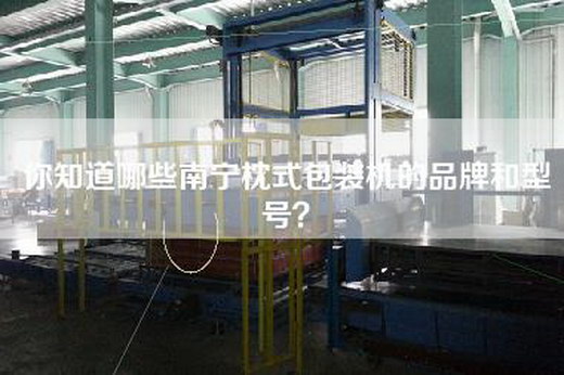 你知道哪些南宁枕式包装机的品牌和型号？