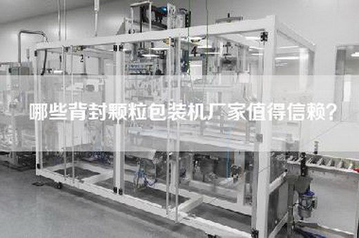 哪些背封颗粒包装机厂家值得信赖？