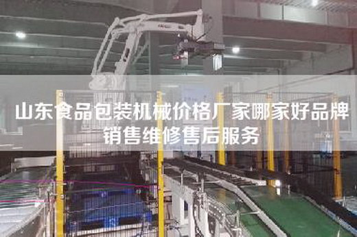 山东食品包装机械价格厂家哪家好品牌销售维修售后服务