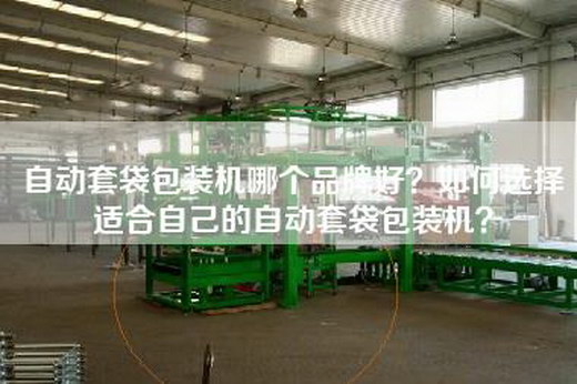 自动套袋包装机哪个品牌好？如何选择适合自己的自动套袋包装机？