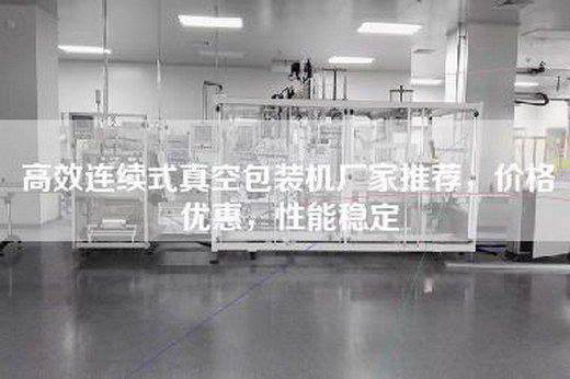高效连续式真空包装机厂家推荐，价格优惠，性能稳定