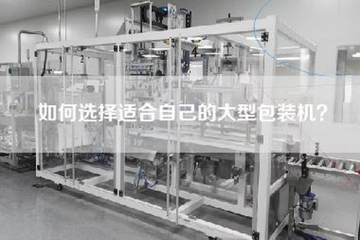 如何选择适合自己的大型包装机？