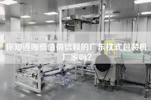 你知道哪些值得信赖的广东枕式包装机厂家吗？