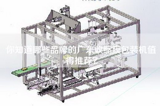 你知道哪些品牌的广东收缩膜包装机值得推荐？