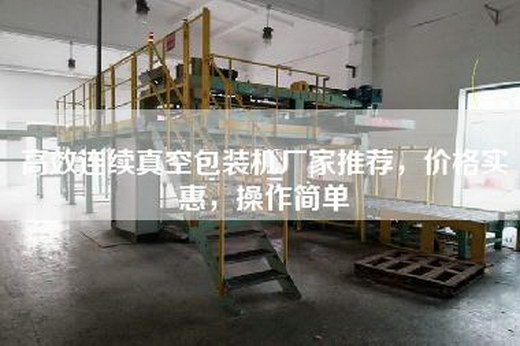 高效连续真空包装机厂家推荐，价格实惠，操作简单