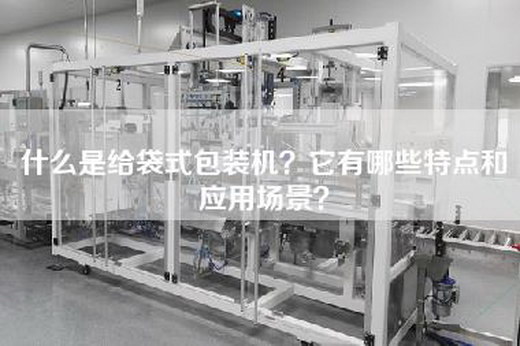 什么是给袋式包装机？它有哪些特点和应用场景？