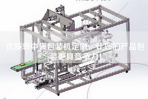 优质袋中袋包装机定做，让您的产品包装更具竞争力！