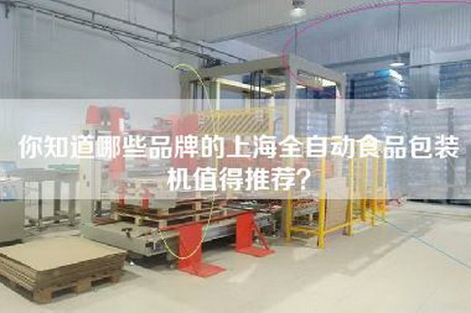 你知道哪些品牌的上海全自动食品包装机值得推荐？