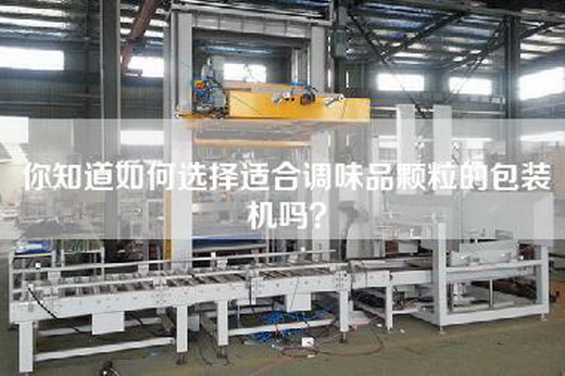 你知道如何选择适合调味品颗粒的包装机吗？