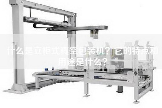 什么是立柜式真空包装机？它的特点和用途是什么？