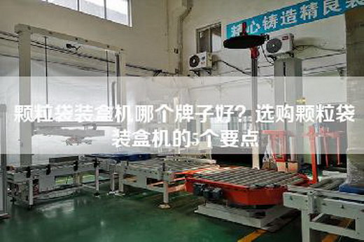 颗粒袋装盒机哪个牌子好？选购颗粒袋装盒机的5个要点