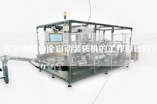 你知道纸巾全自动装袋机的工作原理吗？