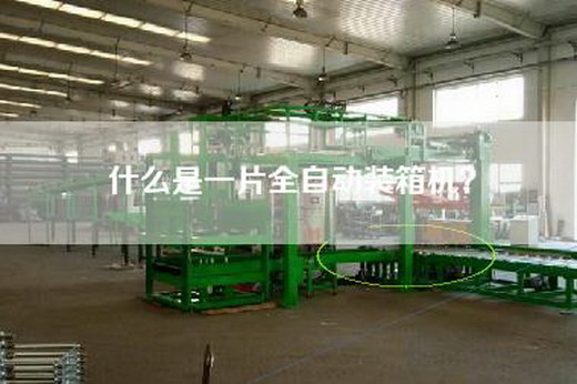什么是一片全自动装箱机？