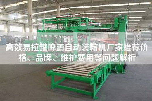 高效易拉罐啤酒自动装箱机厂家推荐价格、品牌、维护费用等问题解析