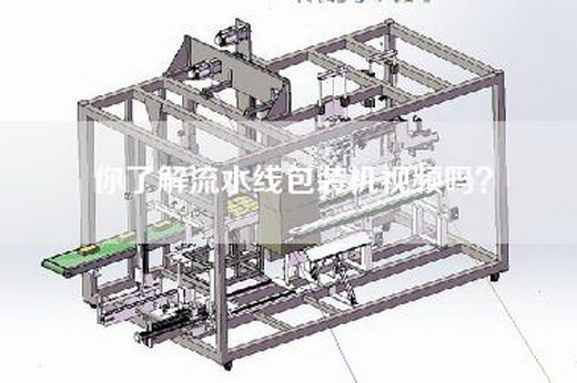 你了解流水线包装机视频吗？