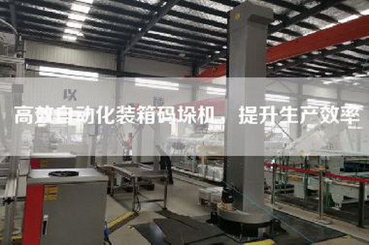 高效自动化装箱码垛机，提升生产效率