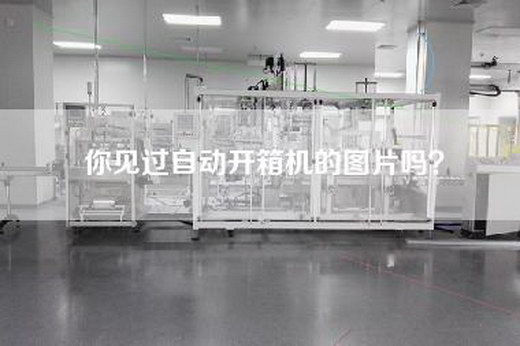 你见过自动开箱机的图片吗？