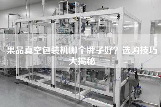 果品真空包装机哪个牌子好？选购技巧大揭秘