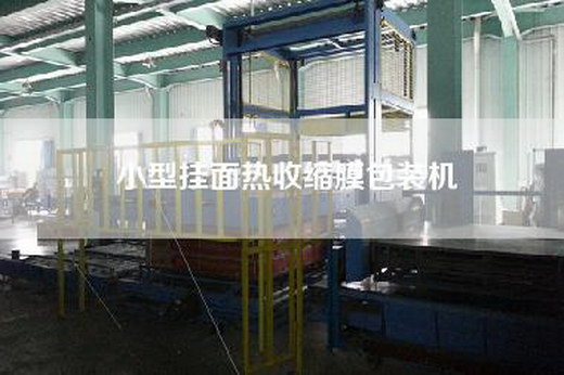 小型挂面热收缩膜包装机